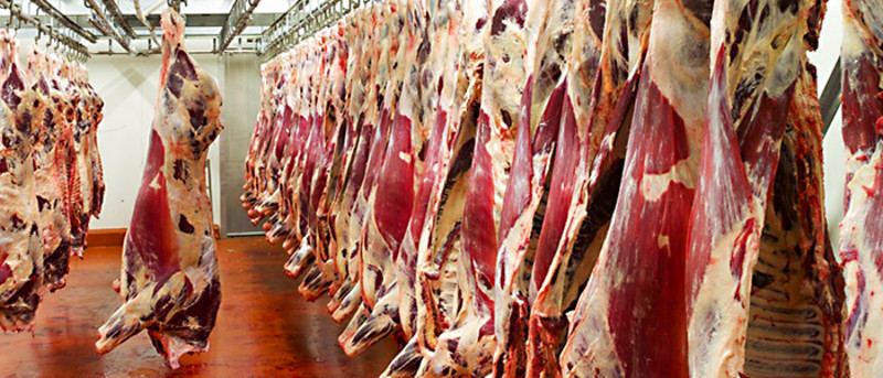 Et üretim tesislerinde nem alma-Trotec